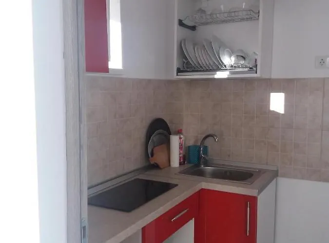 Pensiunea Sydney 3* טימישוארה