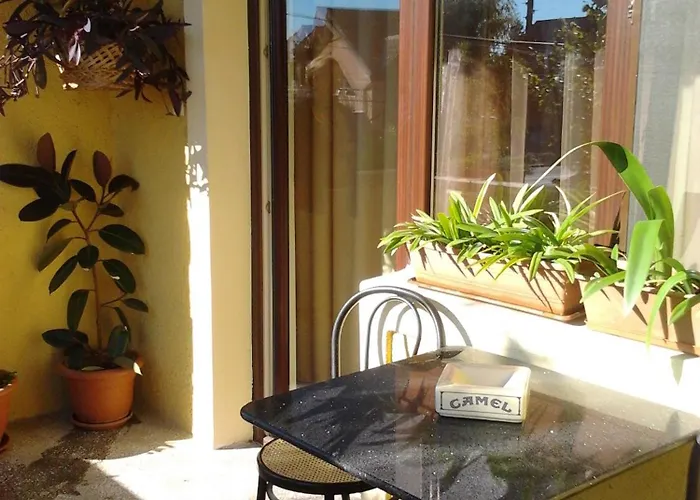 בית הארחה Pensiunea Sydney 3*