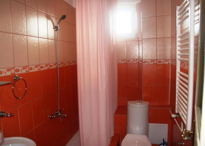 Pensiunea Sydney בית הארחה