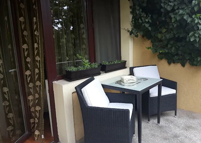 Pensiunea Sydney בית הארחה טימישוארה