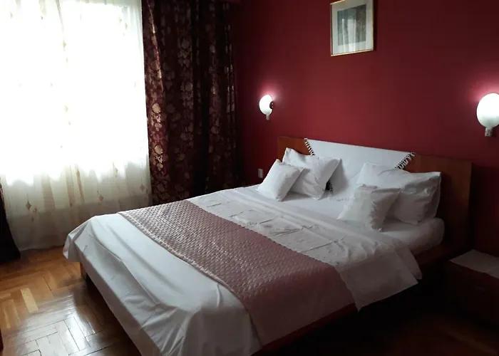 בית הארחה Pensiunea Sydney 3*