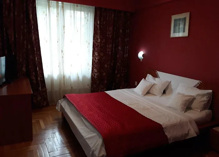 Pensiunea Sydney 3* טימישוארה