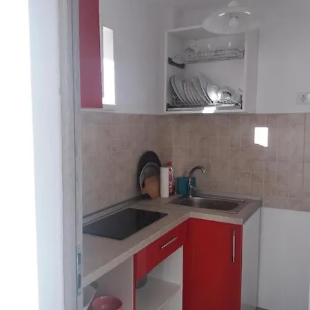 Pensiunea Sydney 3* 티미쇼아라