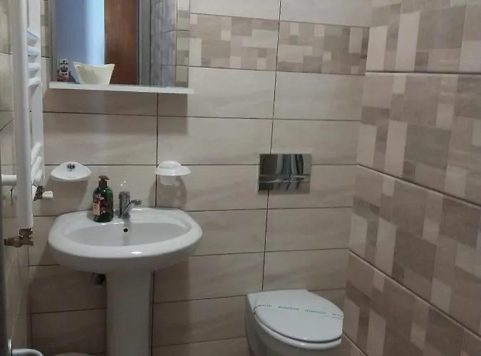 Pensionat Pensiunea Sydney Timişoara