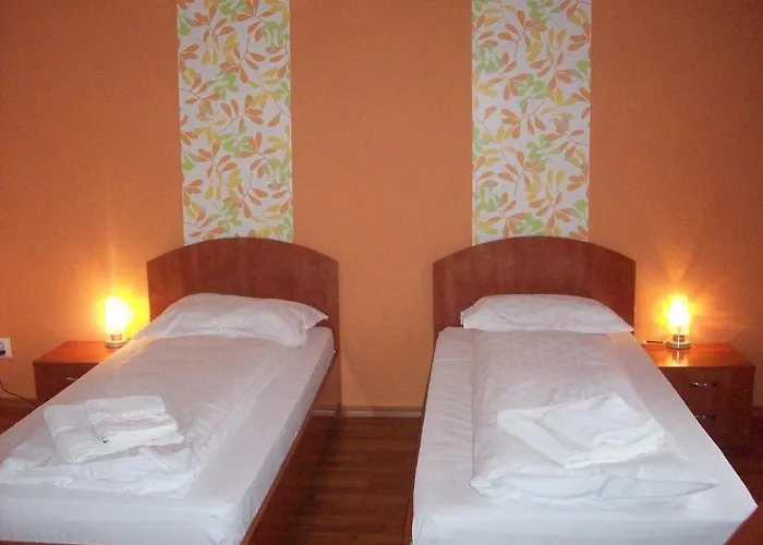 Pensiunea Sydney Pensionat