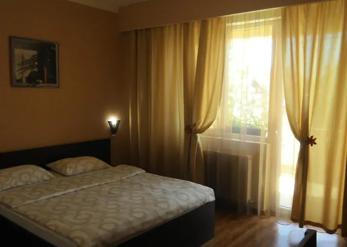 Pensiunea Sydney Timişoara