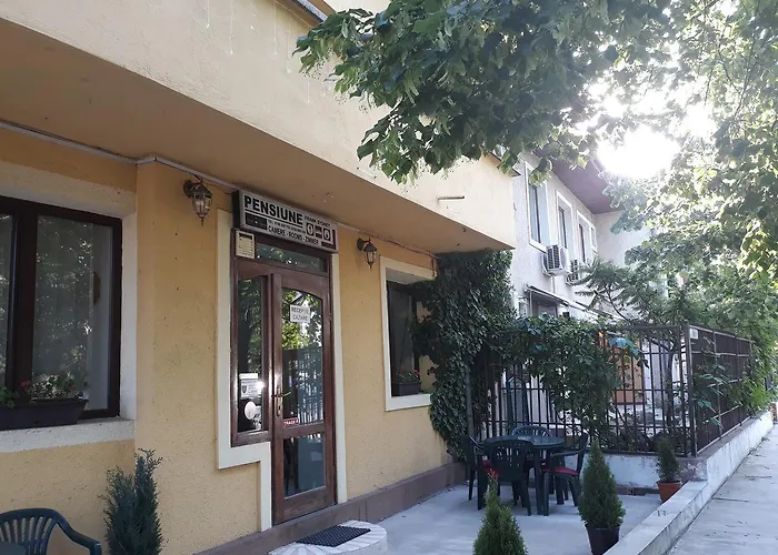 Pensiunea Sydney Pensionat Timişoara